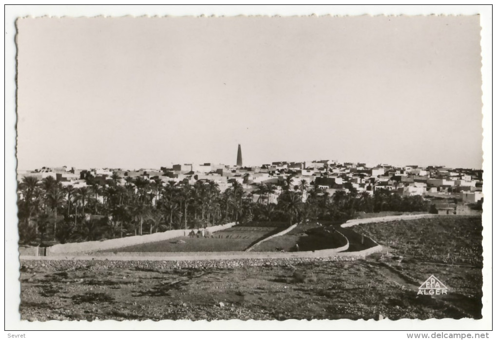 GHARDAIA. - Vue Générale De Mélika. Cpsm 9 X14 - Ghardaia