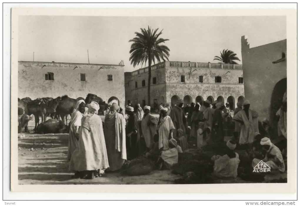 OUARGLA. - Un Coin Du Marché. Cpsm 9 X14 - Ouargla