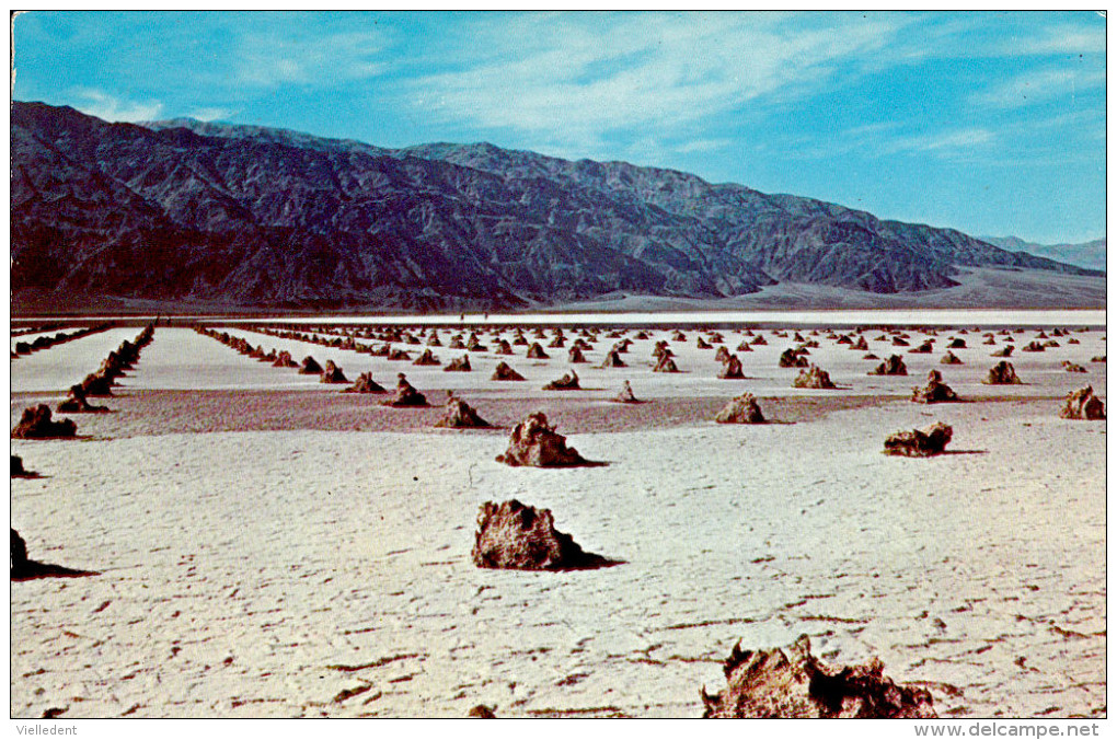 DEATH VALLEY - THE BORAX GARDENS (California) - Vallée De La Mort - Jardin Des Mines De Borax -Californie - 2 Scans - Death Valley