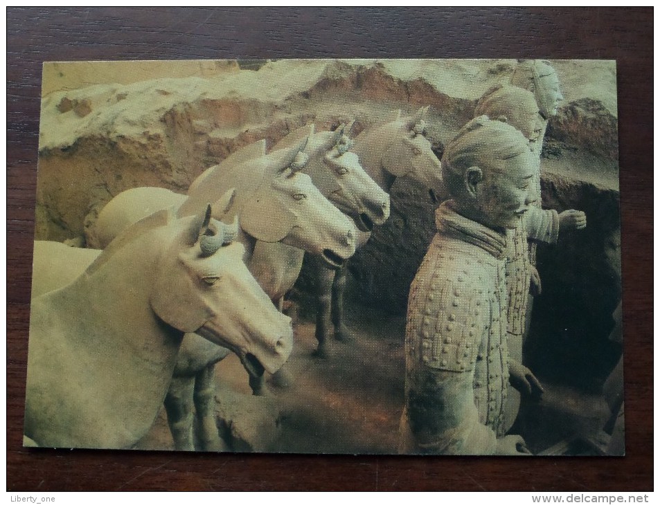 The QIN POTTERY FIGURES in CHINA Museum of Terra-Cotta Warriors Horses of Qin Tomb ( zie foto´s voor details ) !!