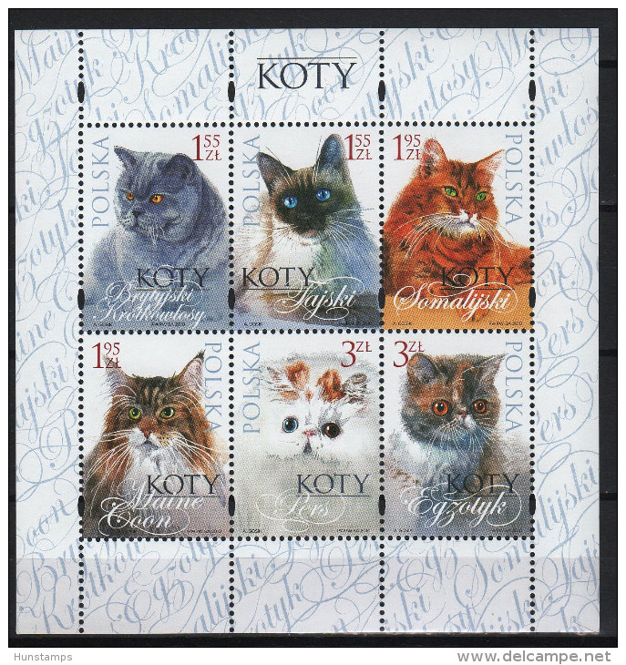 Poland 2010. Animals / Cats Sheet MNH (**) - Ongebruikt