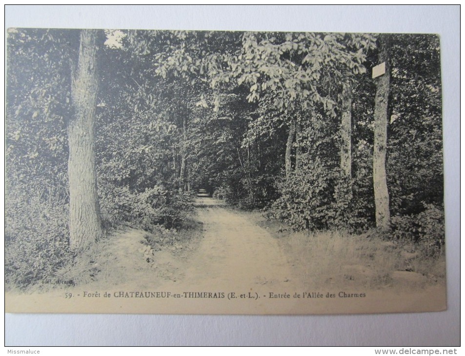 28 EURE ET LOIR CHATEAUNEUF EN THIMERAIS ENVIRONS ENTRÉE DE L’ALLÉE DES CHARMES - Châteauneuf