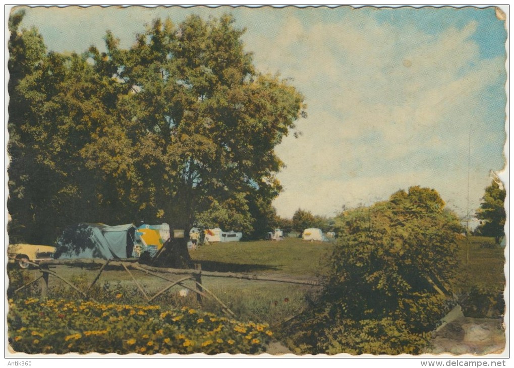 CPSM 49 LA MENITRE Le Camping Au Bord De La Loire - Les Ponts De Ce