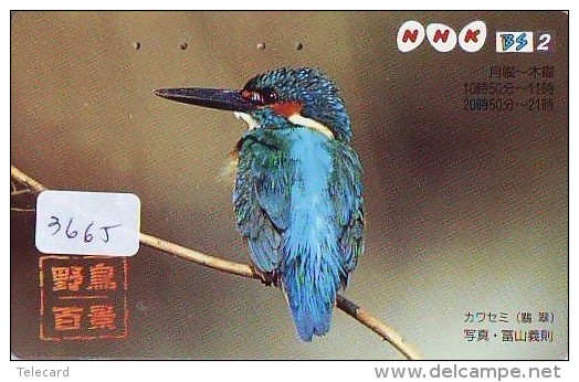 Telecarte Japon OISEAU (3665) MARTIN PECHEUR * KINGFISHER  * Phonecard Japan * BIRD * TK EISVOGEL - Other & Unclassified