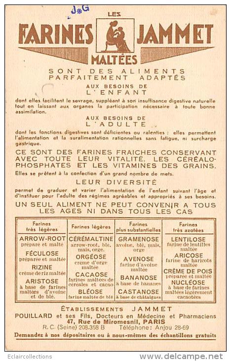 Angers   49  Format Carte Série : Les Provinces De France...L'Anjou  Farines Jammet - Angers