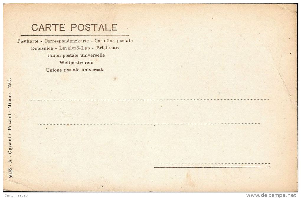 [DC5600] CARTOLINA - CASA NEL BOSCO - Old Postcard - Non Classificati