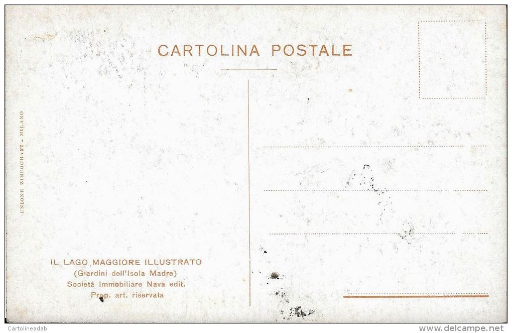 [DC5601] CARTOLINA - IL LAGO MAGGIORE ILLUSTRATO - GIARDINI DELL'ISOLA MADRE - CP - NV - Old Postcard - Verbania