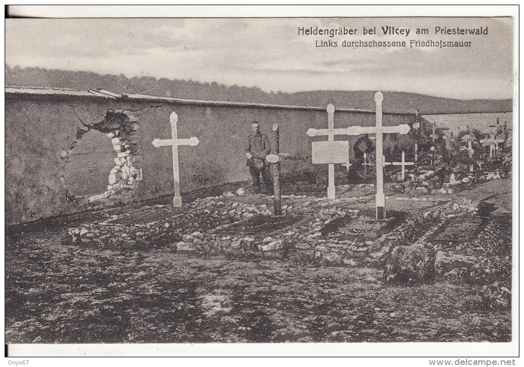 Carte Postale Photo  VILCEY  Meurthe Et Moselle- Kriegerfriedhof Im Priesterwald-Cimetière Militaire Allemand-Friedhof- - Cimiteri Militari