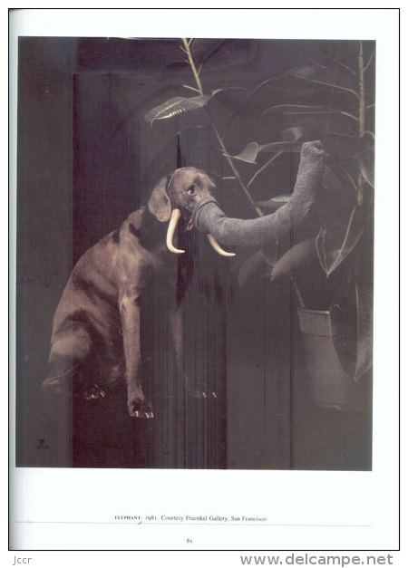 William Wegman - Paintings, Drawings, Photographs, Videotapes (Peintures, Dessins, Photographies, Vidéos) - 1990