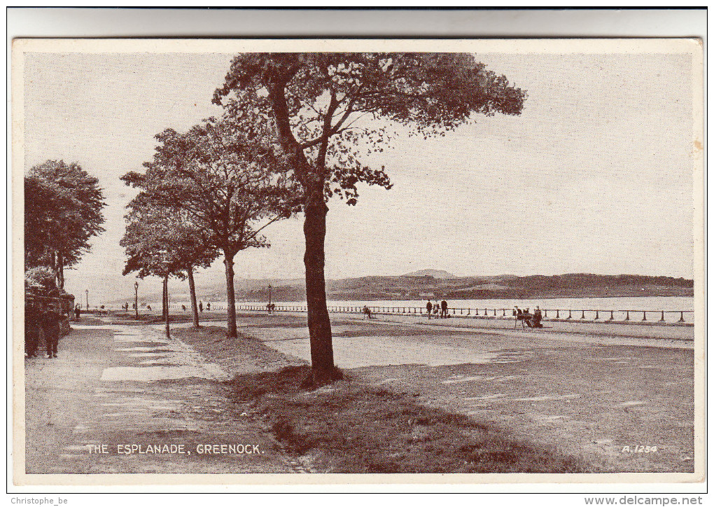 Old Postcard, The Esplanade Greenock (pk14783) - Other & Unclassified