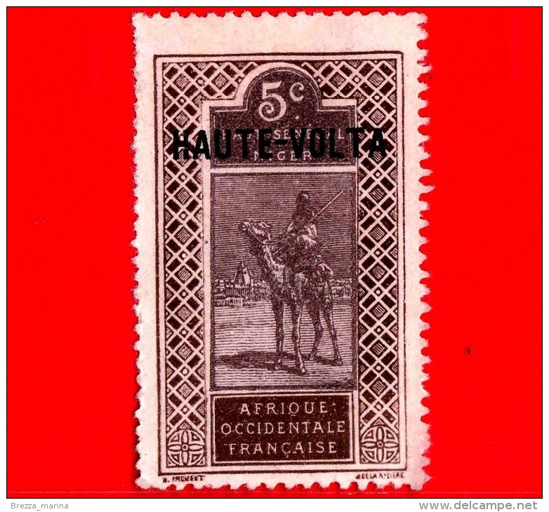 ALTO VOLTA - Africa Occidentale Francese - Usato - Alto Senegal E Niger Sovrastampati HAUTE-VOLTA- 1922 - Cammello - 5 - Used Stamps