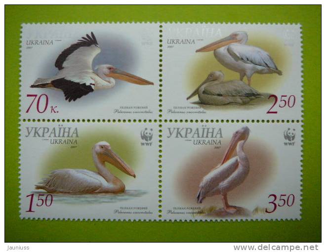 Ukraina 2007  Great White Pelicans Birds **  MNH 4st. - Pelicans