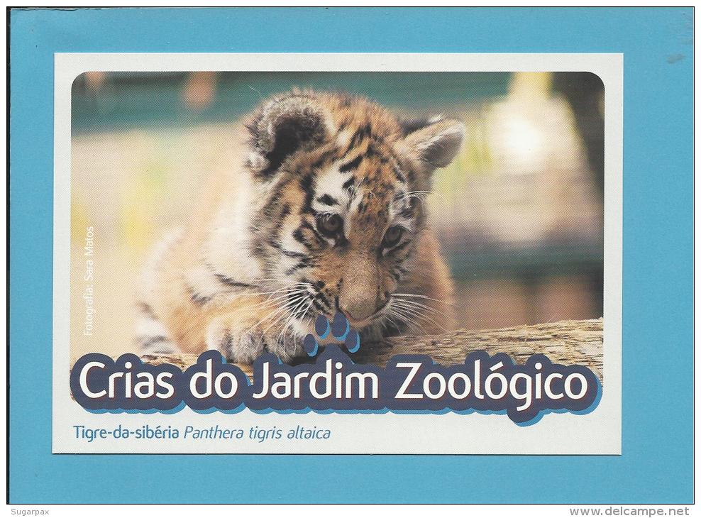Tigre-da-sibéria ( Panthera Tigris Altaica ) Tiger - Crias Do Jardim Zoológico - Lisbon ZOO Lisboa - Portugal - Tiger