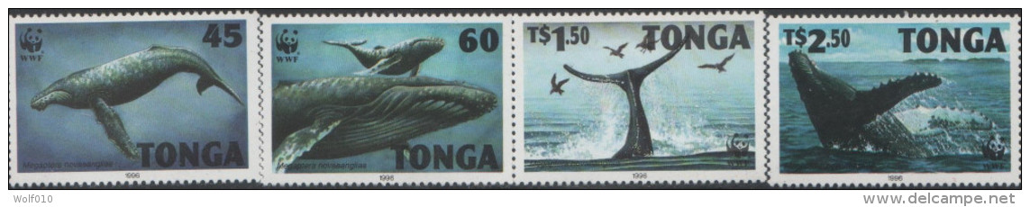 Tonga. Humpbuack Whale. 1996. MNH Set Slightly WRINKLED. SCV = 21.10 - Baleines