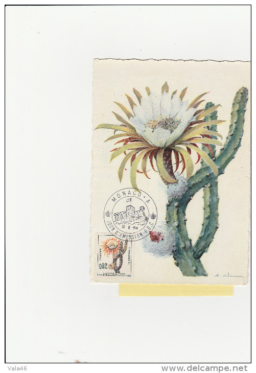 MONACO   CARTE MAXIMUM     THEME CACTUS    N°   537 B - Cactusses