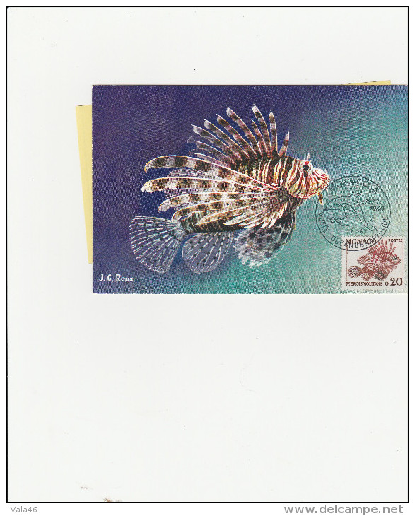 MONACO   CARTE MAXIMUM     THEME  FAUNE  POISSONS    N°  542 - Pesci