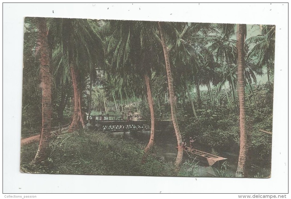 Cp , ANTILLES , JAMAIQUE , JAMAICA , The Perry River , Near Spanish Town , Voyagée 1916 , Ed : Duperley & Sons , 2 Scans - Jamaica