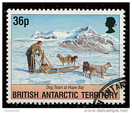 (cl 23 - P6) Antarctique Britannique Ob. N° 243 (ref. Michel Au Dos)-Attelage De Chiens - Used Stamps