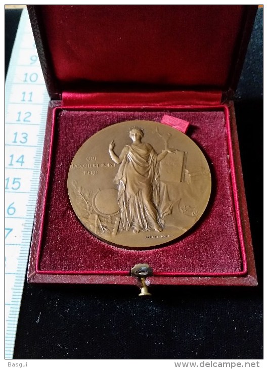 Medaille Bronze, 1910, Ministere De L´Instruction Publique, Instituteur A Guimps Charentes - Professionnels / De Société