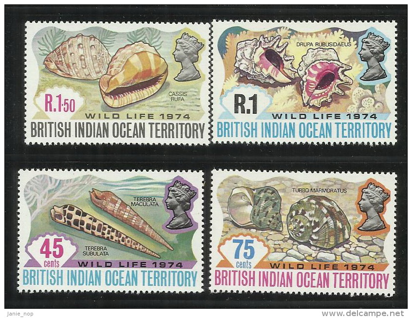 British Indian Ocean Territory 1974 Marine Life MNH - Britisches Territorium Im Indischen Ozean