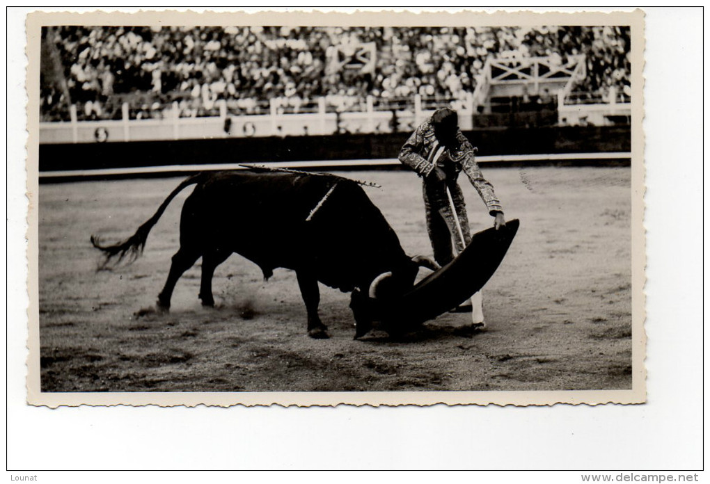 Corrida - Bayonne - Corridas