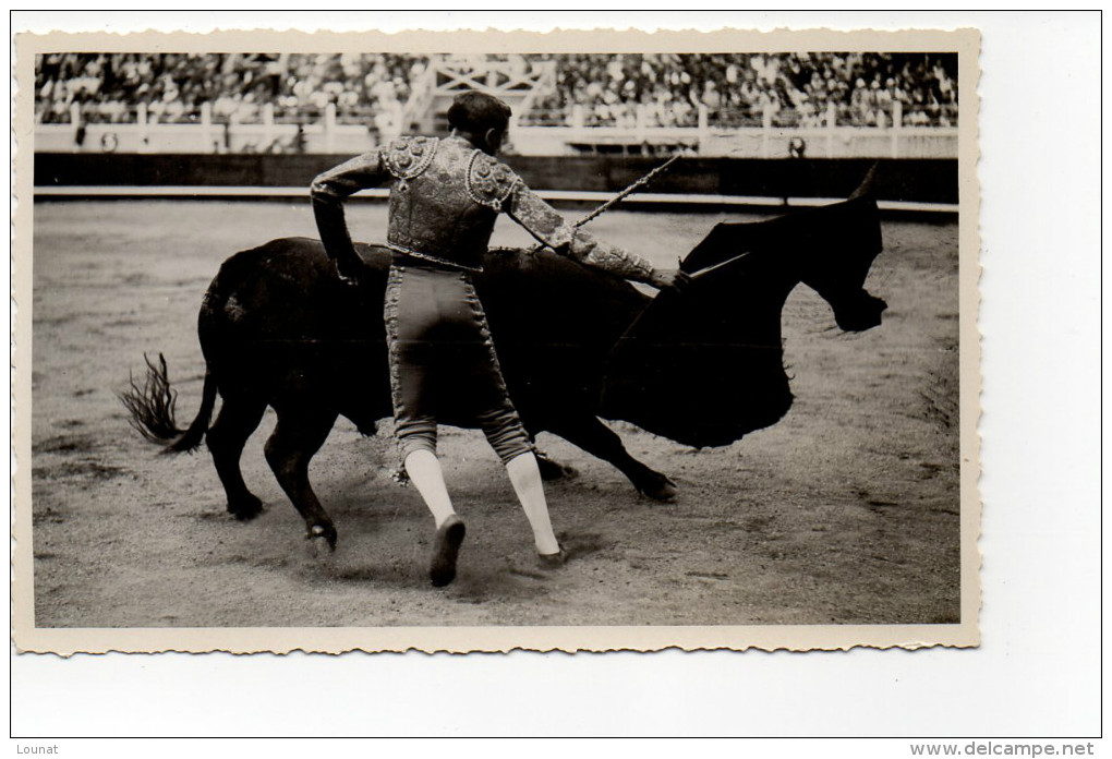 Corrida - Bayonne - Corridas