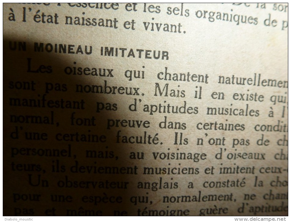 1918 LPDF:Couverture de dos GUS BOFA; Peronne,Bapaume,Varesnes, Sempigny,Brétigny;LENS;Tunnel de GIBRALTAR; Radis-santé