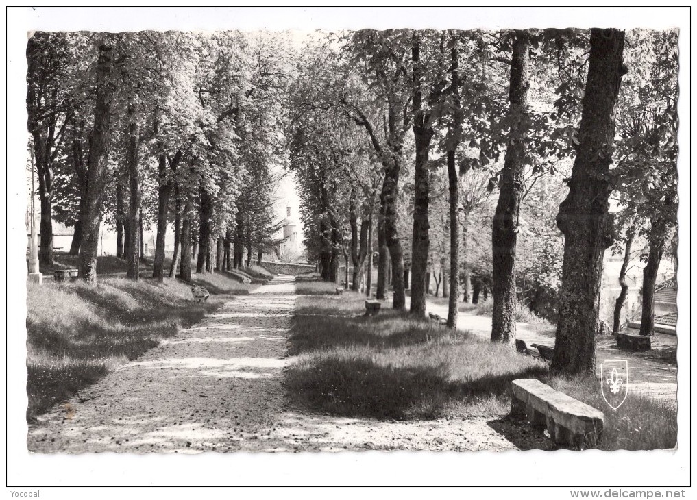 CP, 03, BOURBON L'ARCHAMBAULT, Le Parc Et La Tour De La "Qui Qu'en Grogne", Voyagé En 1966, Ed : Du LYS - Bourbon L'Archambault