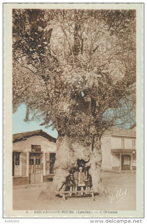 CPA 40 BISCARROSSE -BOURG L´Ormeau - Animée Avec Enfants - Biscarrosse