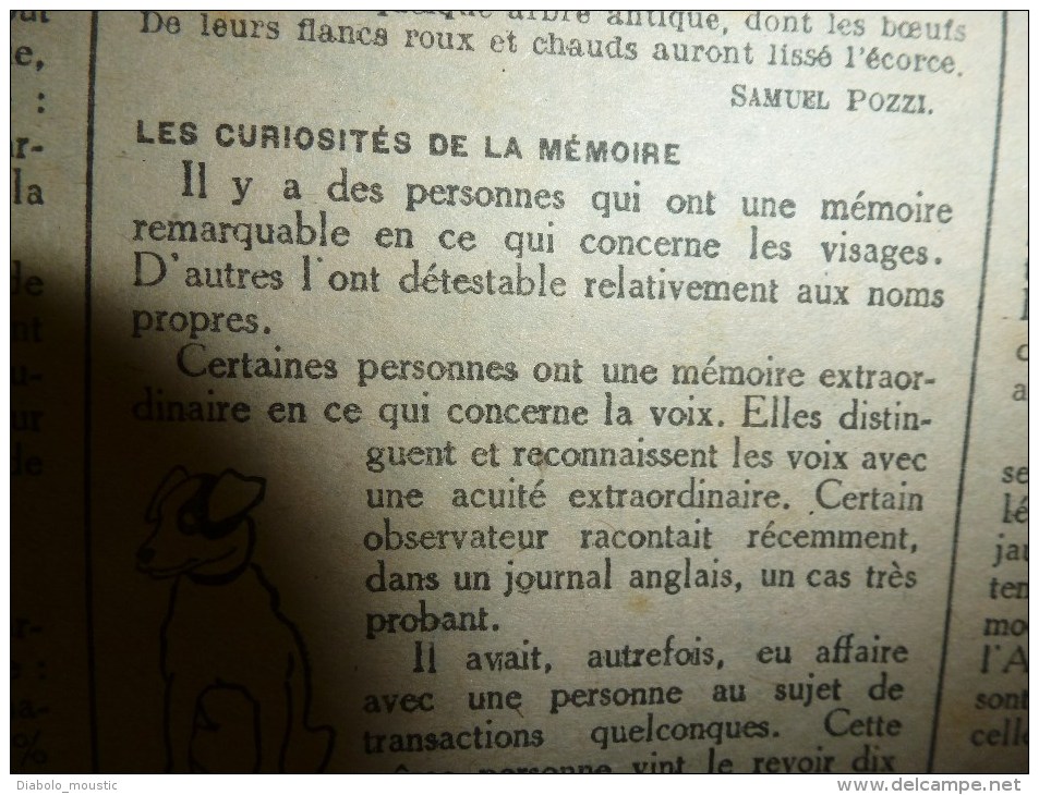 1918 LPDF:FETICHE du POILU et AMULETTE de l'ALLEMAND contre les balles;Aviation et materiel US;Hopital canadien bombardé