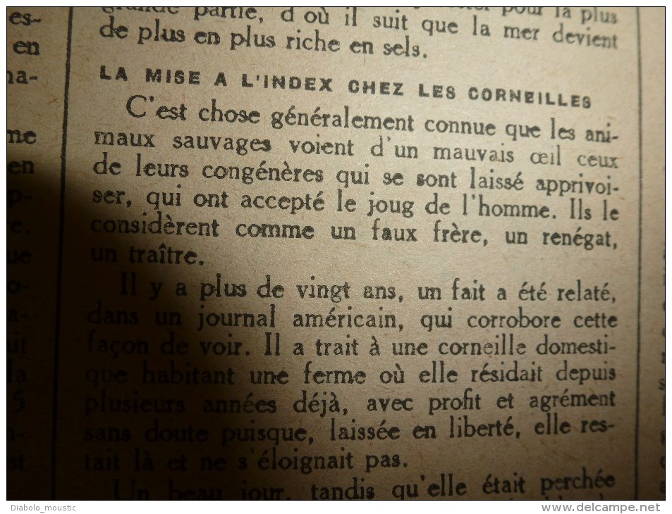 1918 LPDF:AVION GEANT 4 moteurs pour 2500kg bombes;Nos chars;IVRAIE énivrante;Jugement des corneilles;MANGER du TREFLE