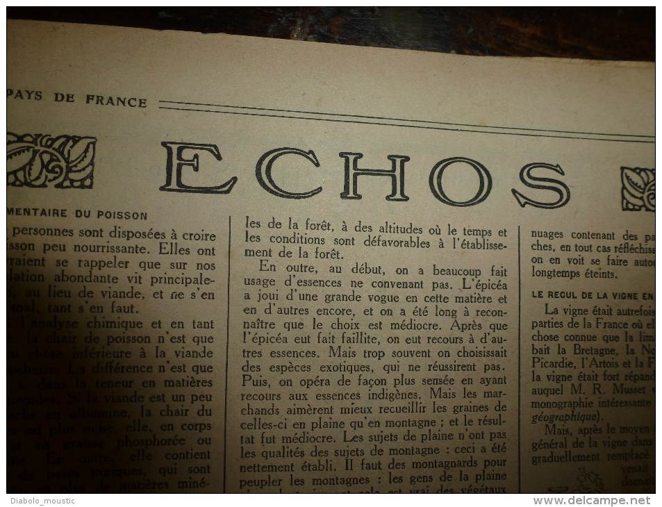 1918 LPDF:Les malgaches;Précision du tir longue portée;Canon 155 long;Mt-Renaud;Exécution Bolo;Crise lunaire;Recul vigne