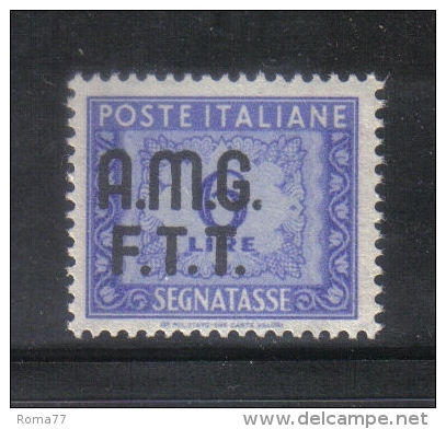 W2249 - TRIESTE , SEGNATASSE 6 Lire N. 10  **  MNH - Postage Due