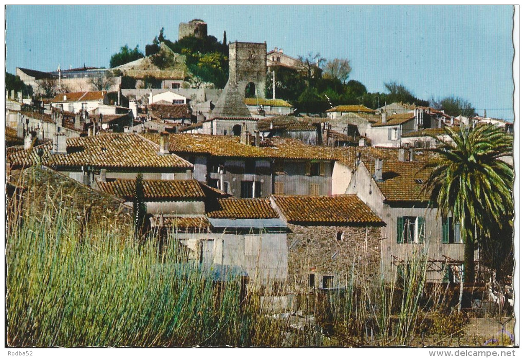 CPSM - Cogolin - Le Clocher De L'église, La Vieille Tour Servant De Beffroi Et Le Moulin Ruiné - Cogolin