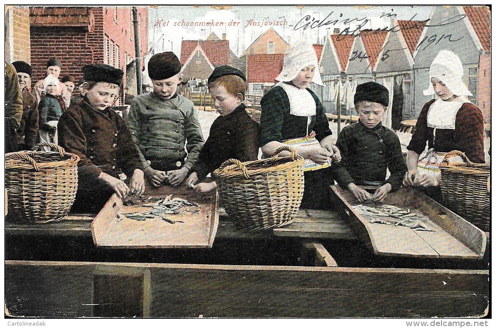 [DC5613] CARTOLINA - NET SCHOONMAKEN DER ANSJOVISCH - BAMBINI CHE PULISCONO LE ACCIUGHE - CP - V - Old Postcard - Altri & Non Classificati