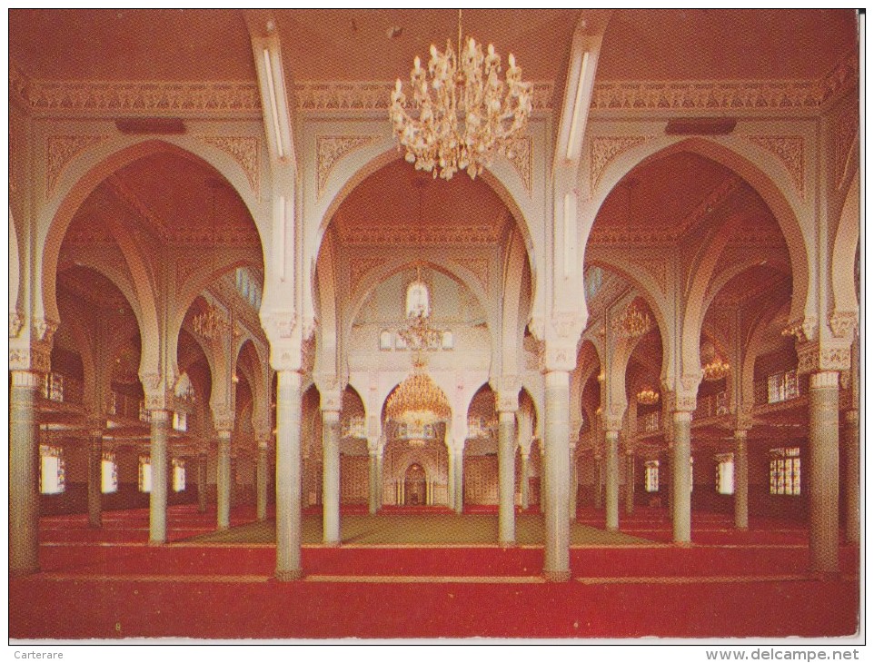 AFRICA,AFRIQUE DU NORD,AFRIKA,ALGERIE FRANCAISE,colonie,Médéa,p Rés KHEMIS MILIANA,TITTERI,mosquée EN NOUR,voute - Médéa