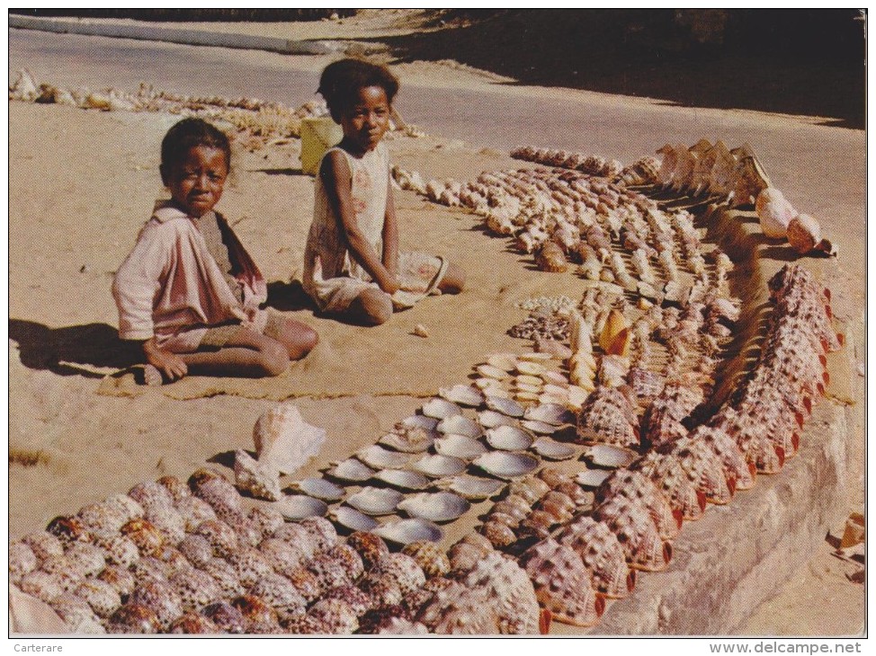 MADAGASCAR,prés Canal Du Mozambique,afrique,FILLE  MARCHANDE DE COQUILLAGES,ENFANTS DE MARCHAND,métier - Madagaskar