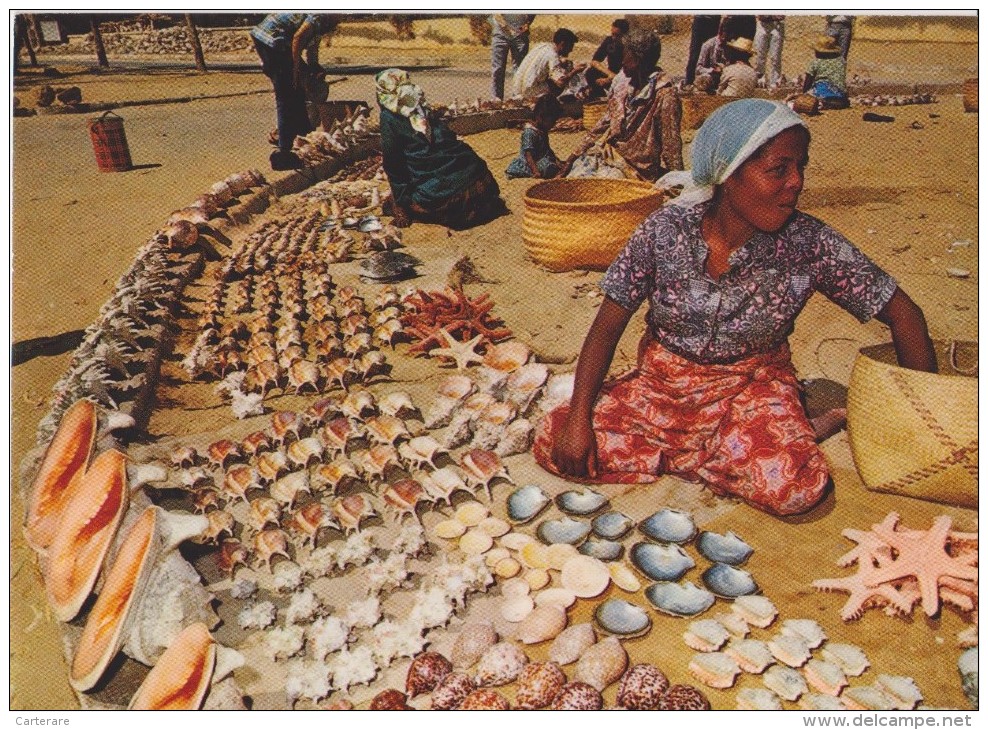 MADAGASCAR,prés Canal Du Mozambique,afrique,FEMME MARCHANDE DE COQUILLAGES,trésor Des Mers,TULEAR,TOLIARY,TOLIA RA - Madagascar