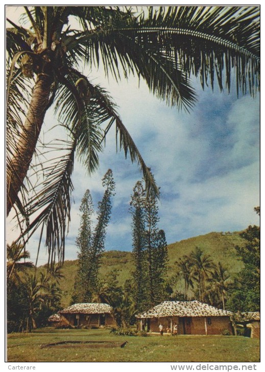 NOUVELLE CALEDONIE,NEW CALEDONIA,souveraineté Française,océan Pacifique,prés Australie,maison Du Pays,village,paillotte - Nouvelle Calédonie