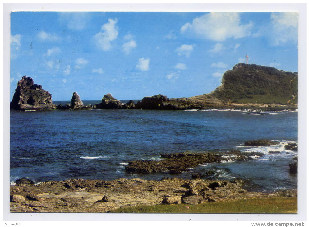 Guadeloupe--1991--La Pointe Des Chateaux,cpsm 15 X 10 N°101 éd Images Caraibes--timbre Bahamas-cachet Nassau - Autres & Non Classés