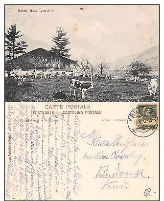 Kt. Bern Frütigen Roesti Haus Tellenfeld JAHRE 1926 (R-L 101) - Bern