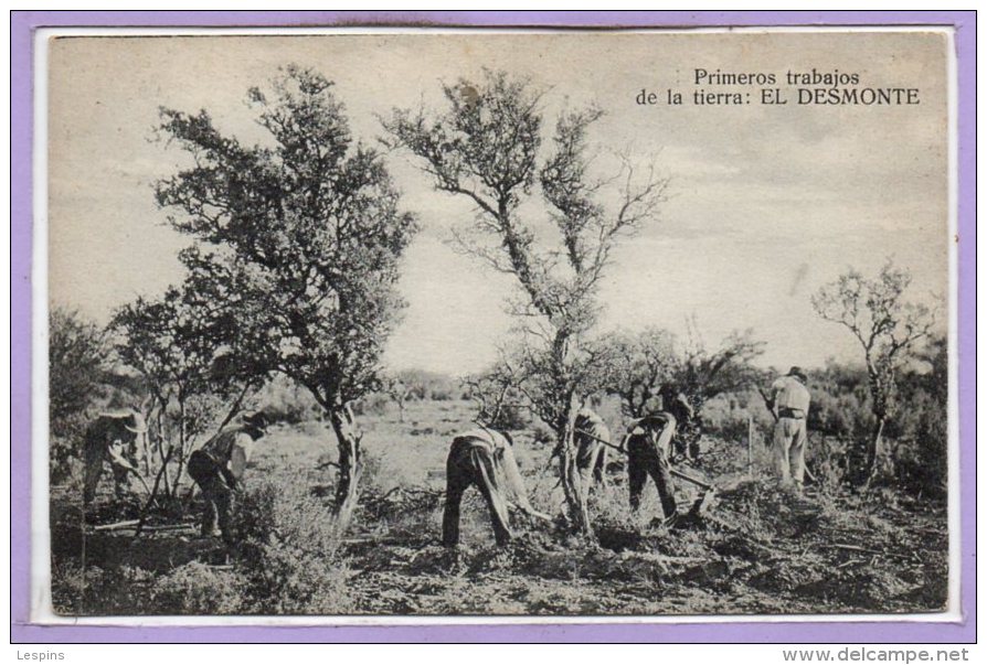 AMERIQUE --  Argentine -- Primeros Trabajos De La Tierra El DESMONTE - Argentina