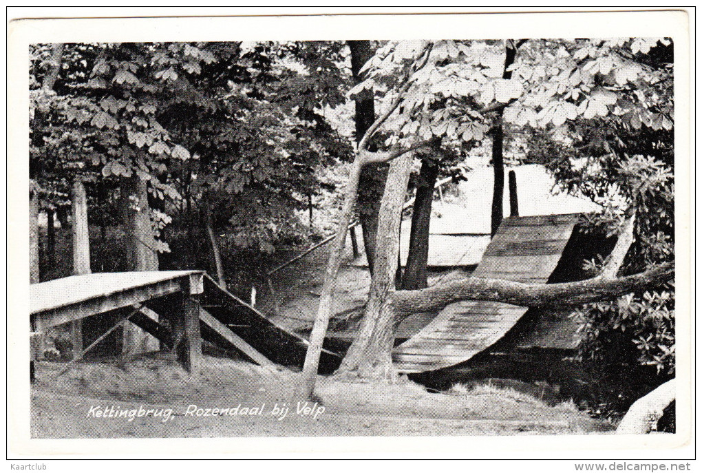 Velp : Kettingbrug, Rozendaal Bij Velp - 1955 - Gelderland / Nederland - Velp / Rozendaal