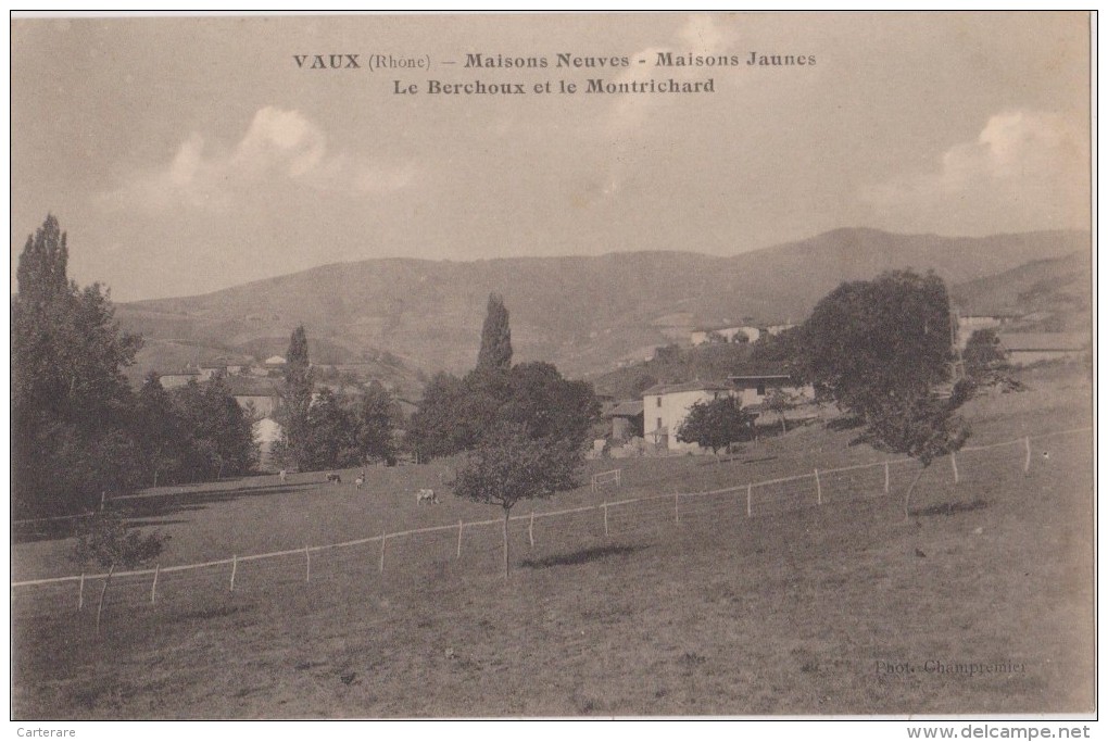 69,cpa,vaux,rhone,maisons Neuves,maisons Jaunes,le Berchoux Et Le Montrichard,prairie Et Vaches,barrières à L´ancienne - Vaux-en-Velin