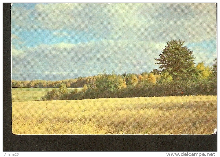 Russia USSR Soviet Union 1981 Russian NATURE FIELD Lea Meadow Photo By V. Dorozhinskij - Klein Formaat: 1981-90