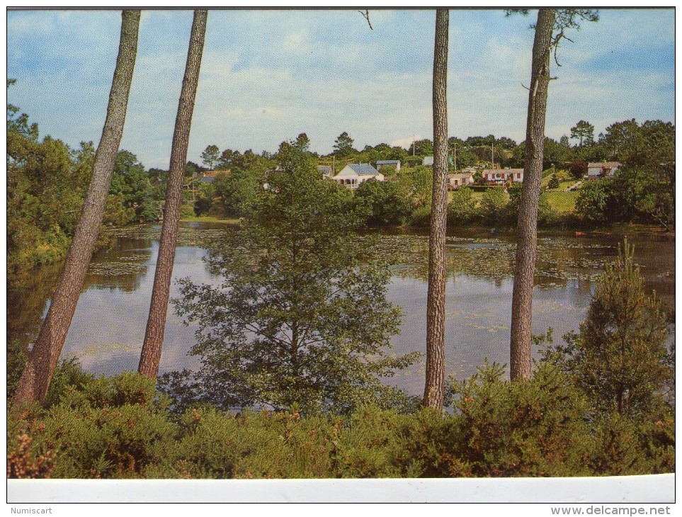 Moisdon-la-Rivière.. L'Etang De La Forge - Moisdon La Riviere