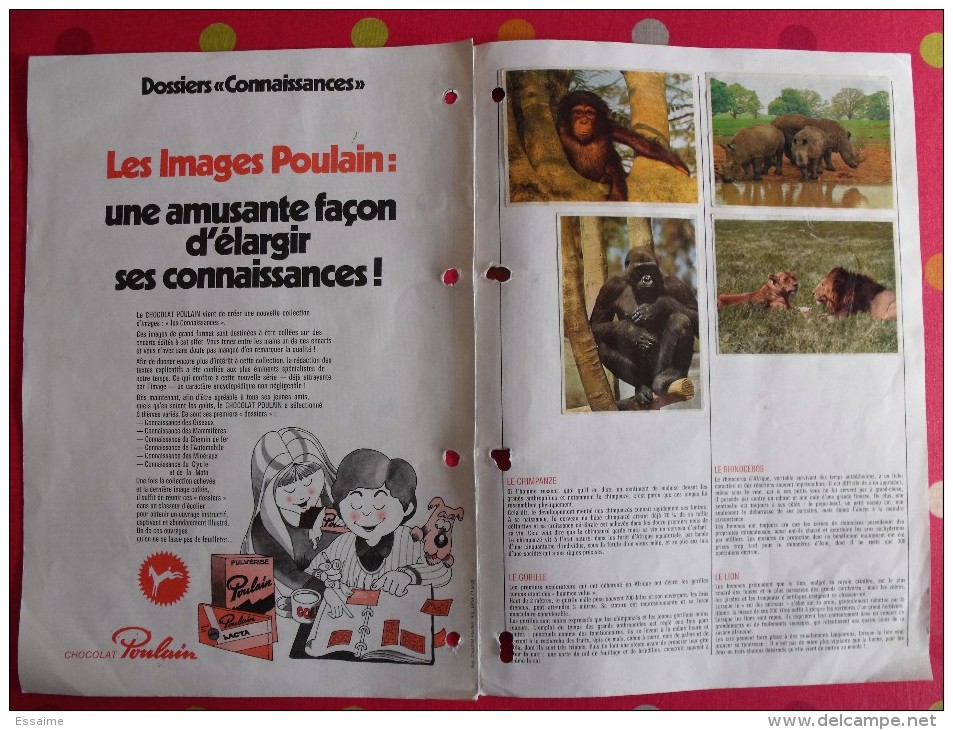 Chocolat Poulain. Dossier Connaissance N° 1 ; Mammifères. Complet. Années 1970 - Poulain