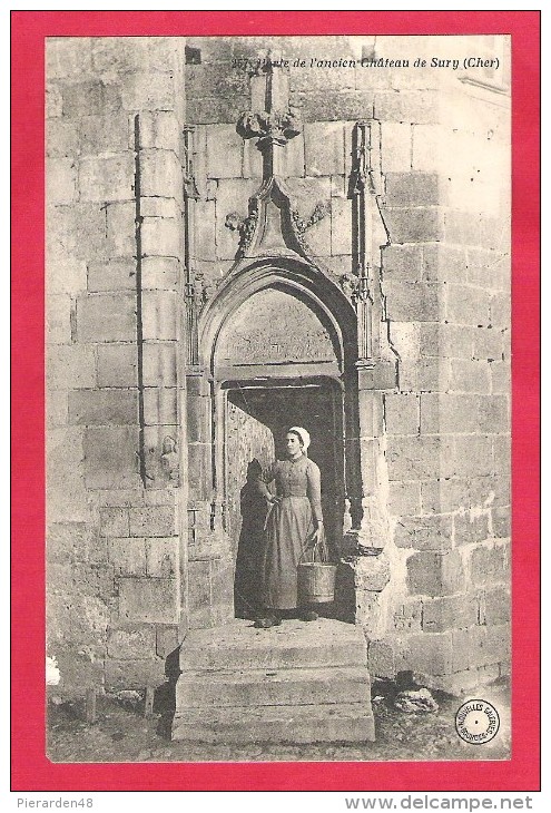 18-Sury-Porte De L'ancien Château De Sury - Taille Cpa  Non écrite - Sury-près-Léré