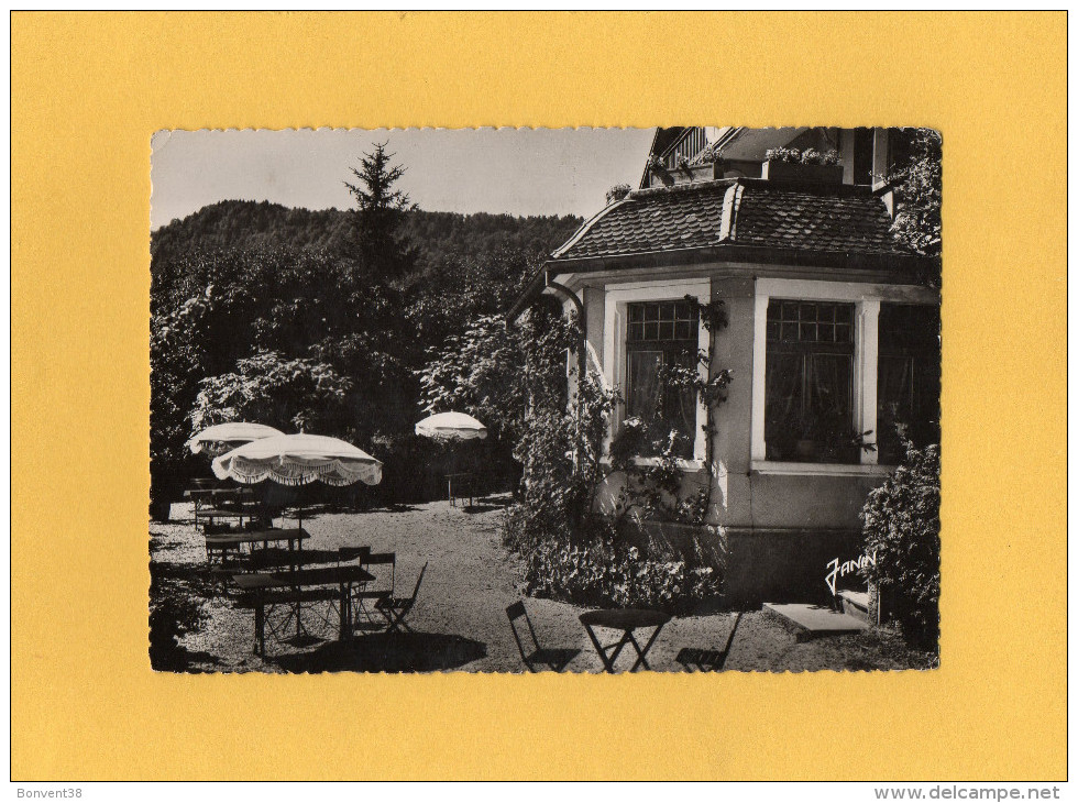 FRONTIERE FRANCO SUISSE - GOUMOIS - La Terrasse De L'Hôtel TAILLARD - Goumois