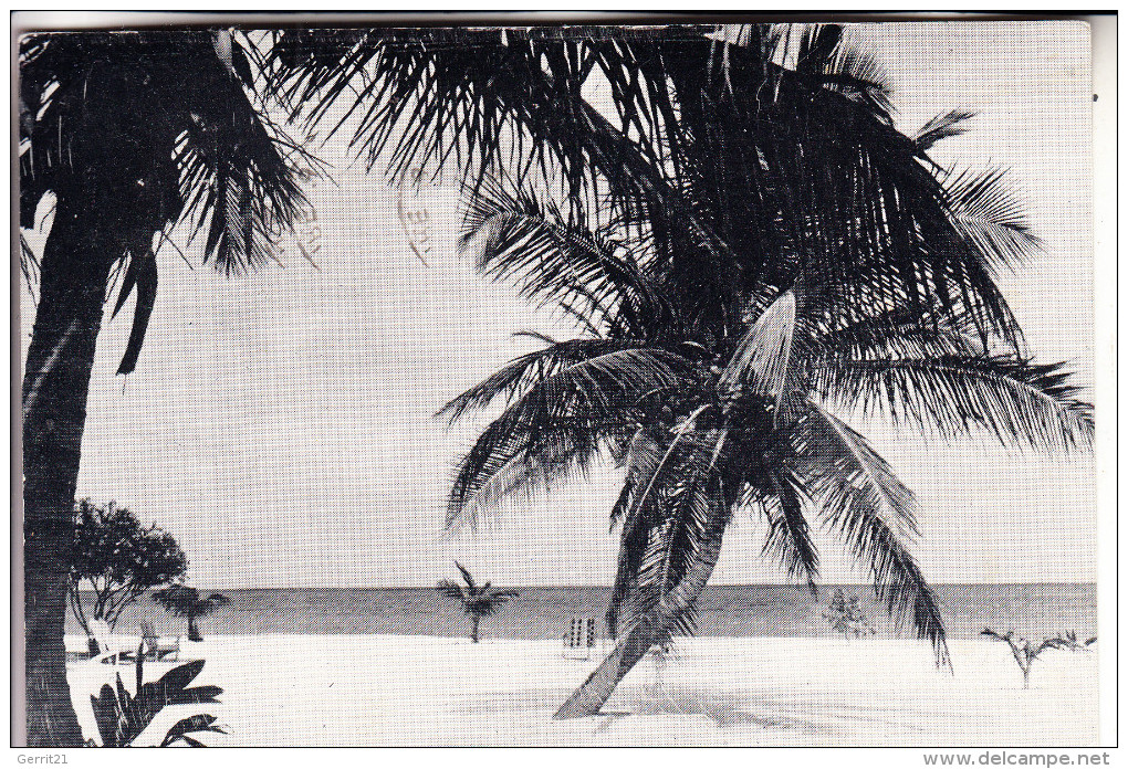 COTE D´IVOIRE / ELFENBEINKÜSTE, Strand, 1967 - Elfenbeinküste